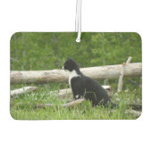 白黒バーンキッテン カーエアーフレッシュナー (裏面)