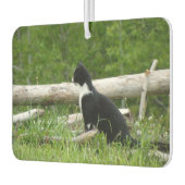 白黒バーンキッテン カーエアーフレッシュナー (左)