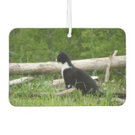 白黒バーンキッテン カーエアーフレッシュナー