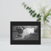 白黒パグ ポストカード (スタンド正面)