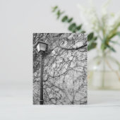 白黒パリ通りランプ写真 ポストカード (スタンド正面)