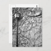 白黒パリ通りランプ写真 ポストカード (正面/裏面)