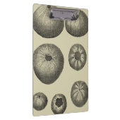 白黒ヒトデ クリップボード (右)