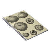 白黒ヒトデ ノートブック (右側)