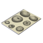 白黒ヒトデ ノートブック (左側)