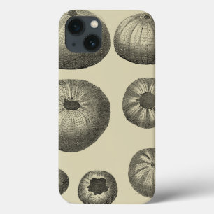 白黒ヒトデ iPhone 13ケース
