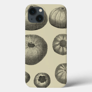 白黒ヒトデ iPhone 13ケース