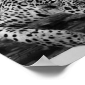 白黒ヒョウ ポスター (角)