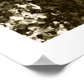 白黒ビッグツリーロサンゼルスグリフィス公園 ポスター (角)