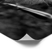 白黒ビッグブライトタンデリオン16x20 ポスター (角)