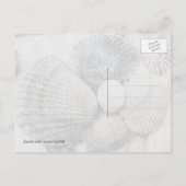 白黒ビーチシェル葉書 ポストカード (裏面)