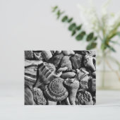 白黒ビーチシェル葉書 ポストカード (スタンド正面)