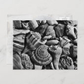 白黒ビーチシェル葉書 ポストカード (正面/裏面)