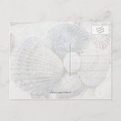 白黒ビーチシェル葉書 ポストカード (裏面)