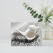 白黒ビーチシーシェル写真 ポストカード (スタンド正面)