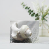 白黒ビーチシーシェル写真 ポストカード (スタンド正面)