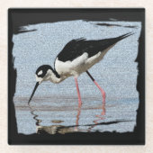 白黒ビーチ動物の写真渡し鳥 ガラスコースター (正面)