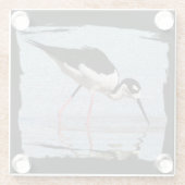 白黒ビーチ動物の写真渡し鳥 ガラスコースター (裏面)