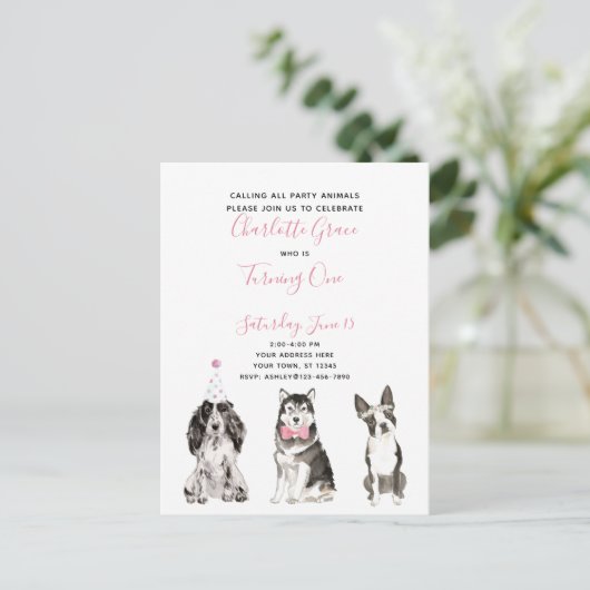 白黒ピンクスクリプトガールの最初の誕生日パーティー インビテーションポストカード (スタンド正面)