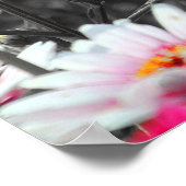 白黒ピンクフラワーガーデンモノクロ ポスター (角)