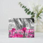 白黒ピンクフラワーモノクロ ポストカード (スタンド正面)