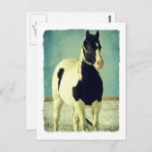 白黒ピント ポストカード (正面/裏面)