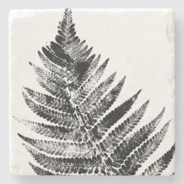 白黒ファーンリーフプリント ストーンコースター