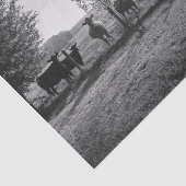 白黒フィールド牛の写真デコページ 薄葉紙 (詳細)