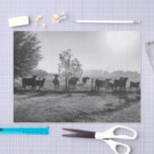 白黒フィールド牛の写真デコページ 薄葉紙 (クラフト)