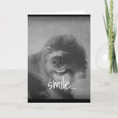 白黒フォトおもしろい犬ユーモアのある誕生日 カード (正面)