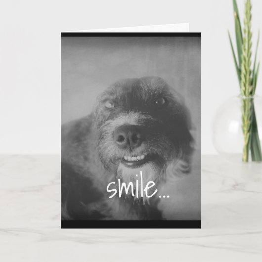 白黒フォトおもしろい犬ユーモアのある誕生日 カード (正面)