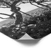 白黒フォトグラフィー海ブドウ ポスター (角)