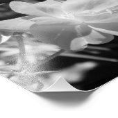 白黒フォトプリント フォトプリント            (角)