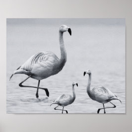 白黒フラミンゴ熱帯印刷可能アート ポスター