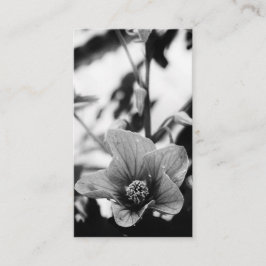 白黒フラワー写真花屋 名刺