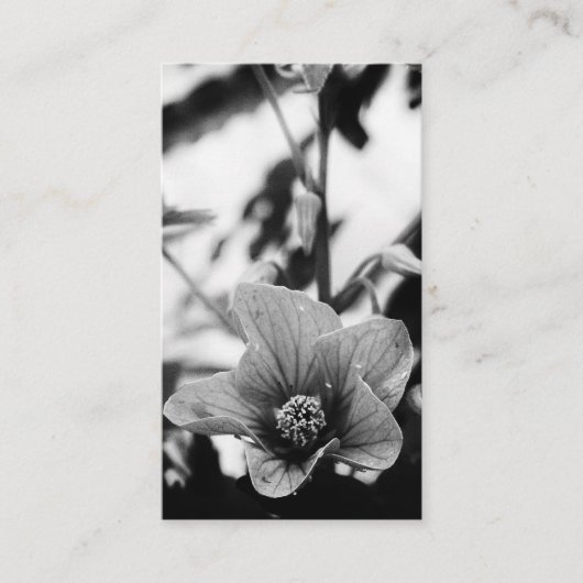 白黒フラワー写真花屋 名刺 (正面)