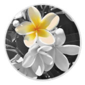 白黒フランジパニスワンイエローフランジパニ セラミックノブ (正面)