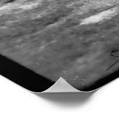 白黒フロリダヤシの木の写真 ポスター (角)