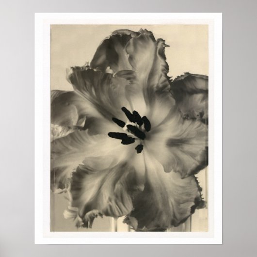 白黒フローラプリント ポスター (正面)