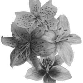 白黒フローラ同時代美術 トートバッグ