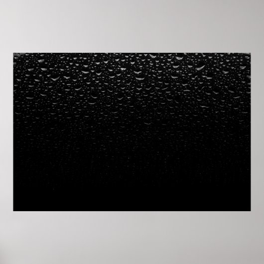 白黒フローラ敷物 ポスター (正面)