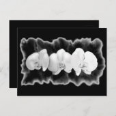 白黒フローラ絵画の蘭 ポストカード (正面/裏面)