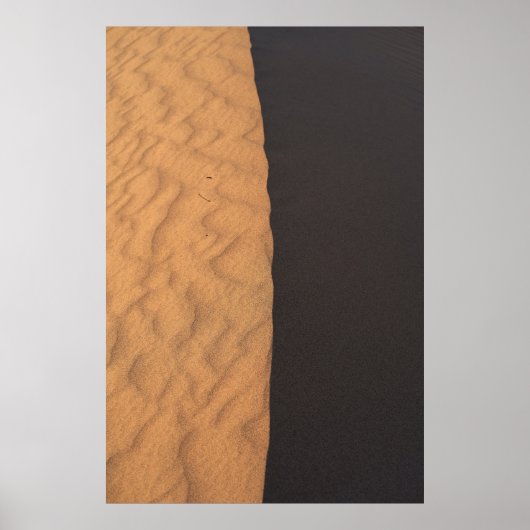 白黒フローラ織物 ポスター (正面)