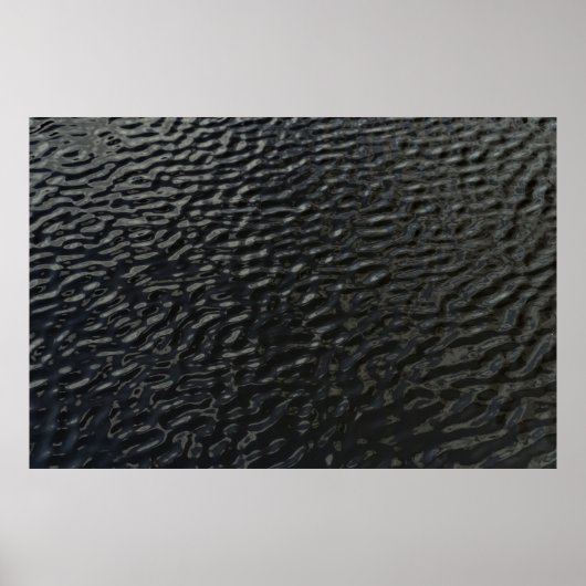 白黒フローラ織物 ポスター (正面)