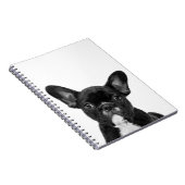 白黒ブルドッグフランスのポートレート ノートブック (右側)