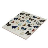 白黒ブルー蝶美しい自然恋人 タイル (側面)