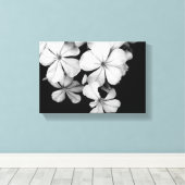 白黒プルムバゴ キャンバスプリント (インサイチュ (ウッドフロア))