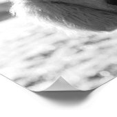 白黒プードル顔子犬の目 ポスター (角)