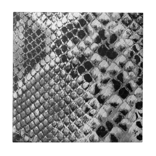 白黒ヘビ タイル (正面)