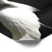 白黒ヘロン熱帯印刷芸術 ポスター (角)